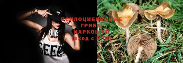 герыч Аркадак